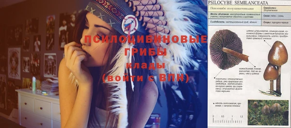 spice Киренск