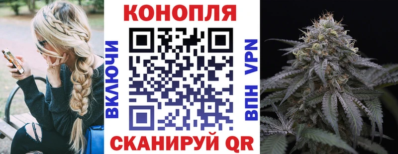 Конопля ГИДРОПОН  Пикалёво 